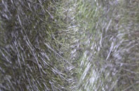 Kaimrig End fibreglass roof work